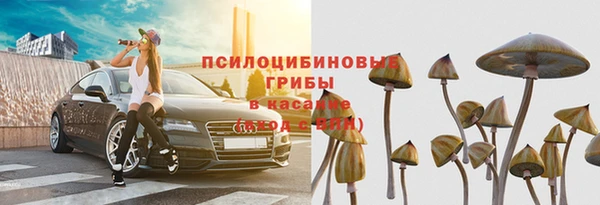 марихуана Шадринск