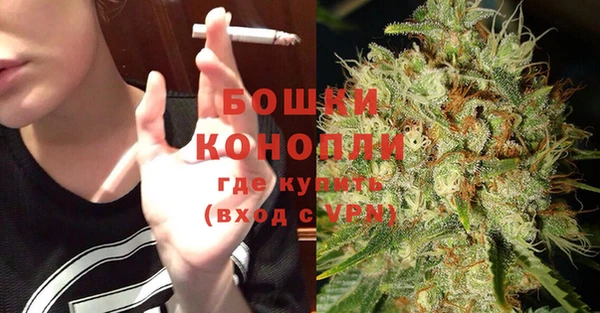 ешки Корсаков