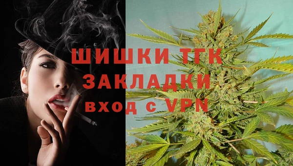 ешки Корсаков