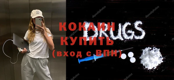 ешки Корсаков
