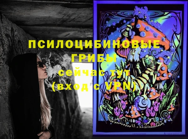 ешки Корсаков