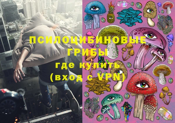 ешки Корсаков