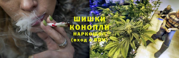ешки Корсаков