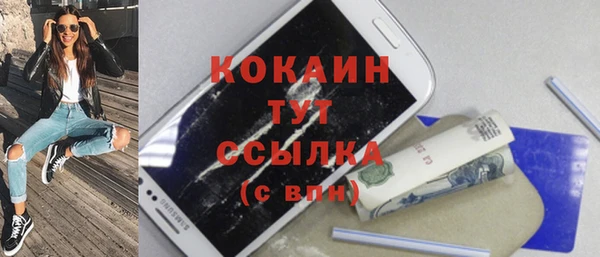 ешки Корсаков