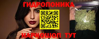 мдпв Донецк