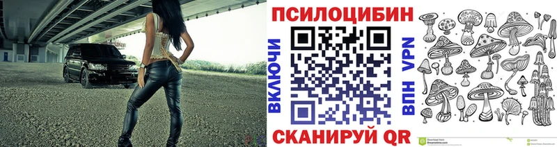 купить наркотики цена  Арзамас  blacksprut онион  Псилоцибиновые грибы Magic Shrooms 