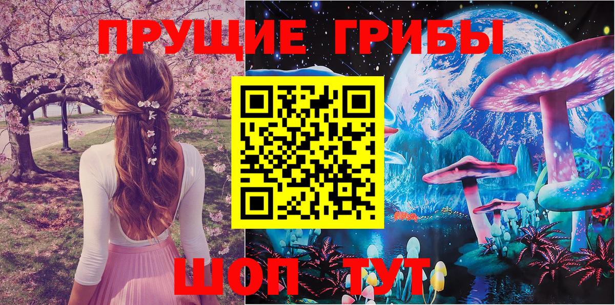 что такое   Вход с VPN  Арзамас  Галлюциногенные грибы Psilocybe 